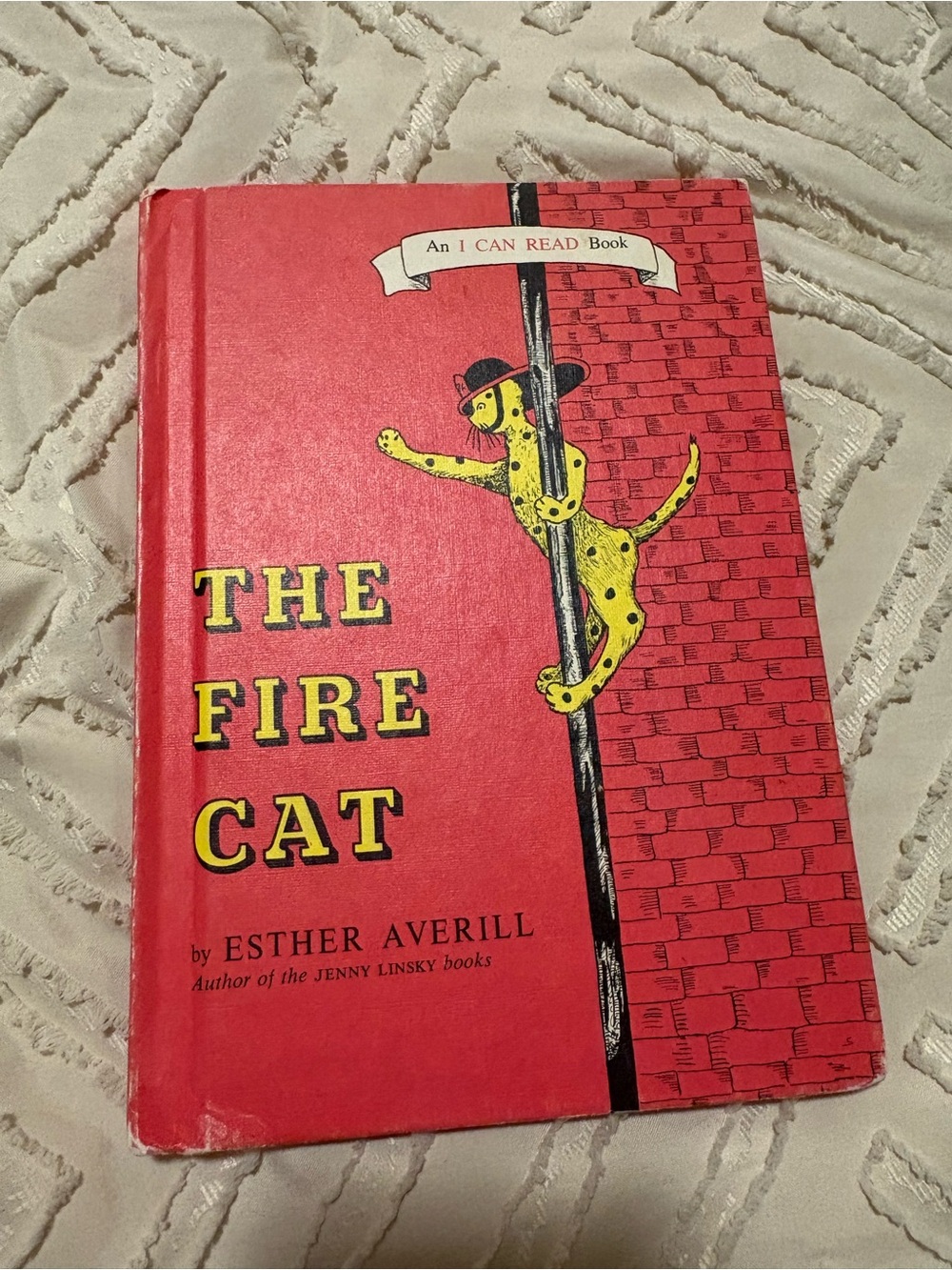 Vintage Book The Fire Cat by Esther Averill Hardcover I Can Read Book 1960